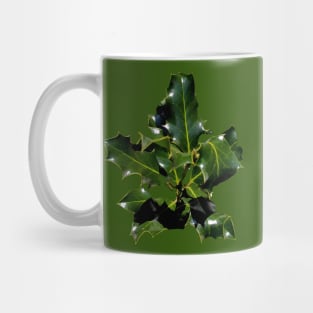 Holly Branch Isolated Mug